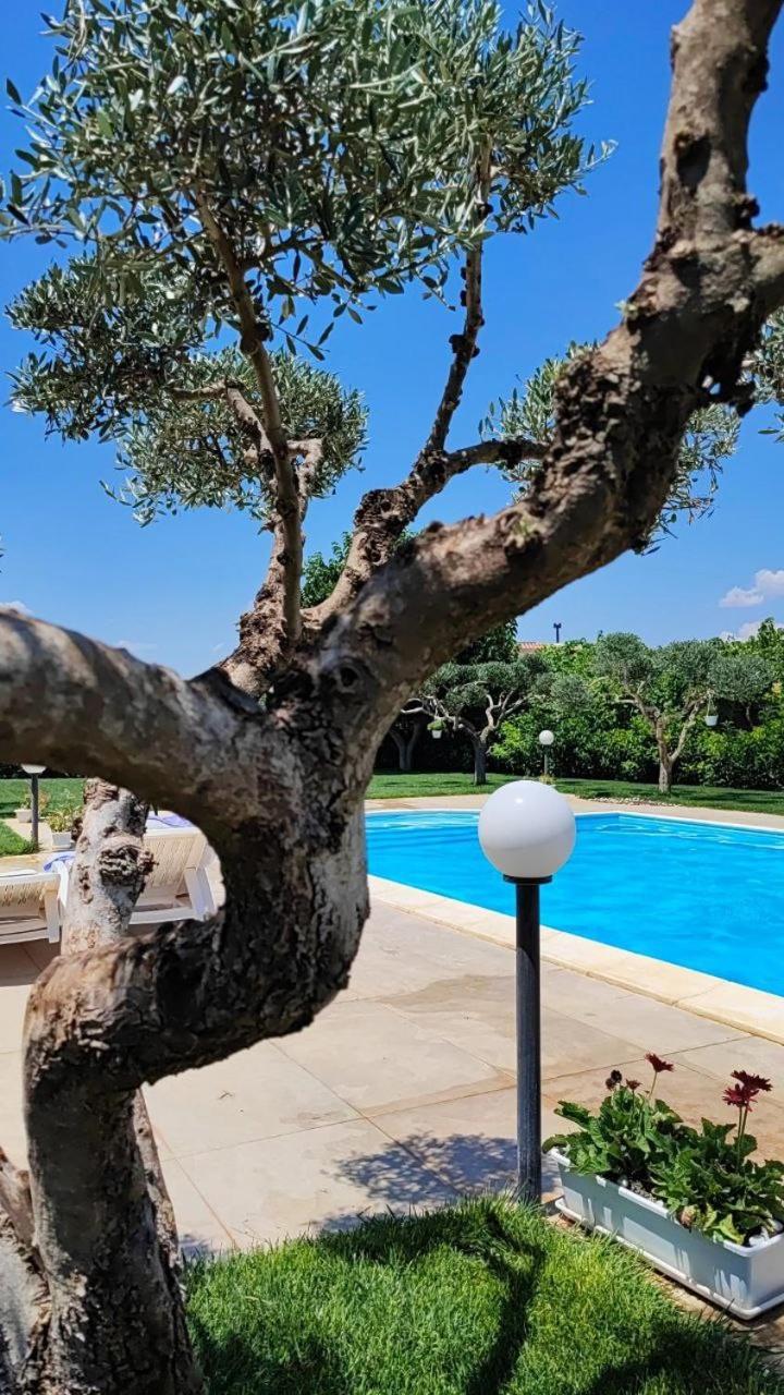 B&B Villa Antonella П'яцца-Армерина Екстер'єр фото